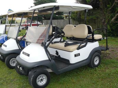 Wheelie Fun Cart Rentals photo