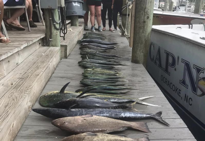 Ocracoke Business Updates Ocracoke Island Outer Banks